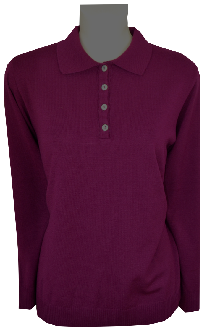 Pullover mit Kragen in Cassis
