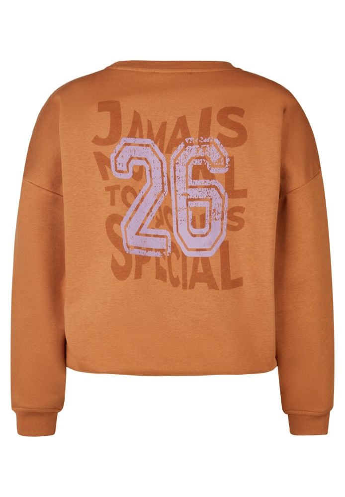 Sweat-Pulli in Zimt