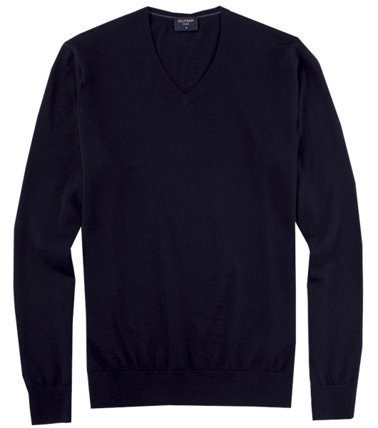 LEVEL FIVE Pullover in dunkel blau