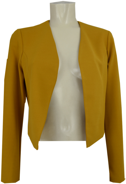 Bolero mit 1/1 Arm in ocker